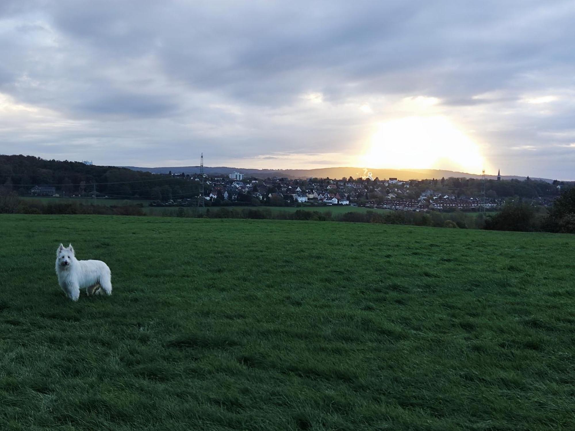 Gruene Oase Nr.2, Nahe Uni Und Technologie Quartier Leilighet Bochum Eksteriør bilde