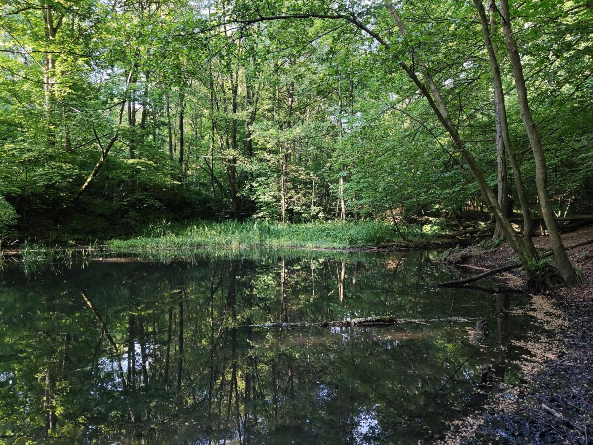 Gruene Oase Nr.2, Nahe Uni Und Technologie Quartier Leilighet Bochum Eksteriør bilde
